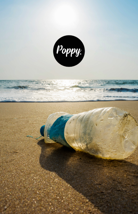 2 Foto De Sobre Nosotros 1