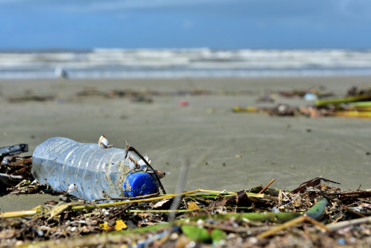 Diseno Sin Titulo 57